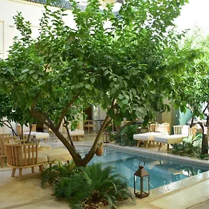 Emberiza Sahari **** Marrakesh